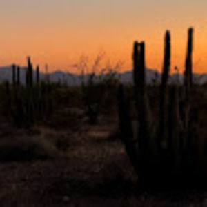 Meet your Posher, Corbin